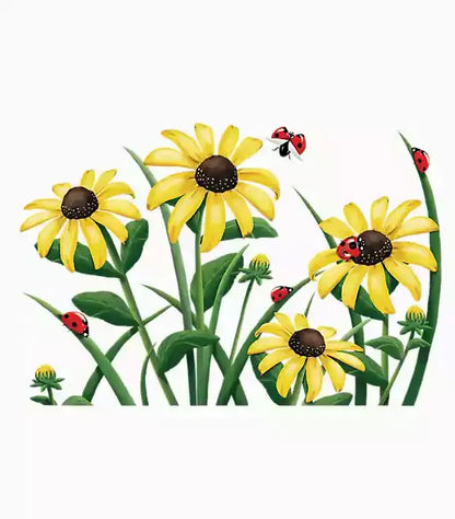 Black-Eyed Susan