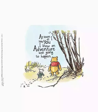 Disney - Winnie the Pooh Adventure