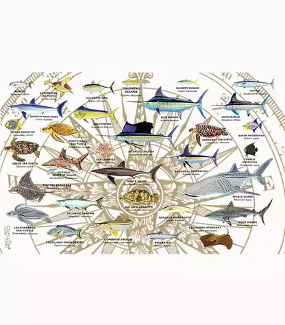 Guy Harvey® - Charts