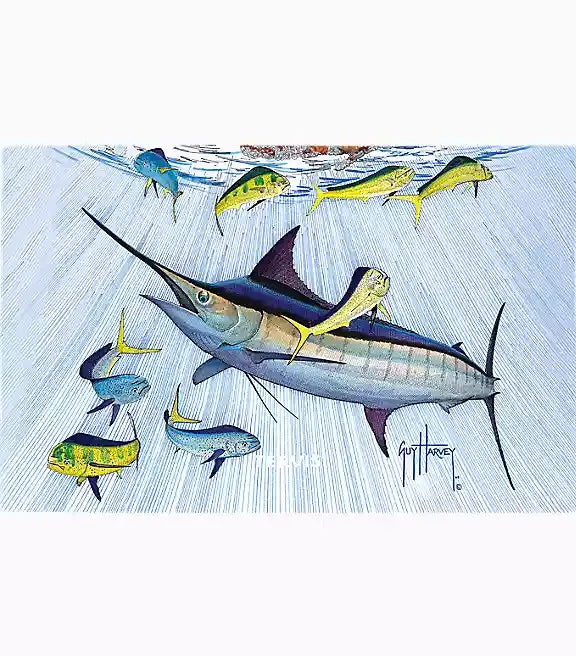 Guy Harvey - Marlin and Mahi