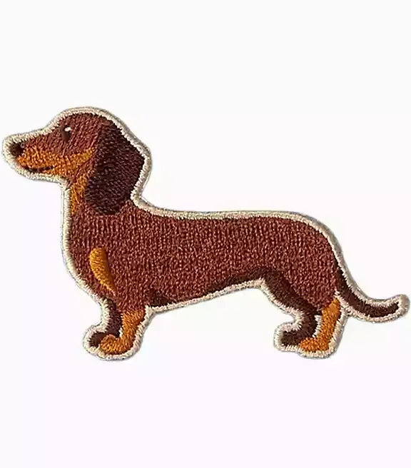 Dogs - My Dachshund