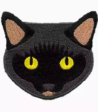 My Black Cat