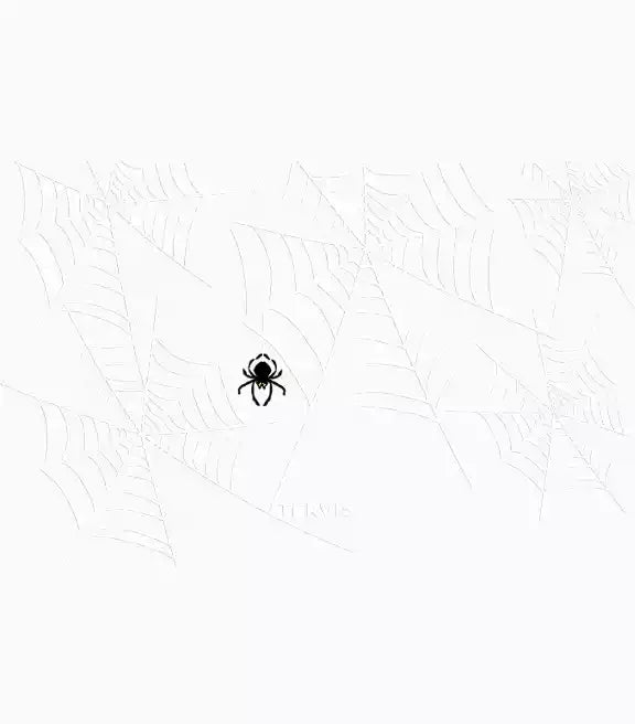 Shimmering Web